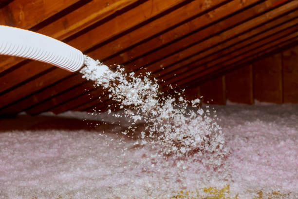 Best Spray Foam Insulation  in Enon, VA