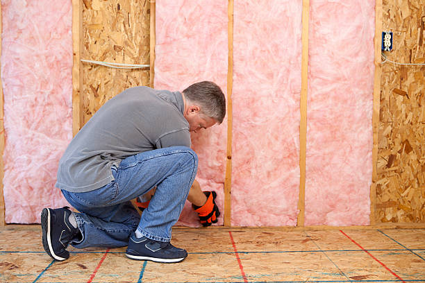 Best Fiberglass Insulation  in Enon, VA