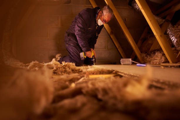 Best Insulation Contractors for Homes  in Enon, VA