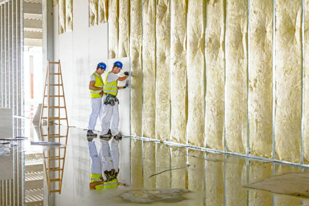 Best Blown-in Insulation  in Enon, VA
